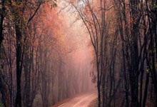 为备战参赛营造良好舆论环境 冬运中心多措并举治理“饭圈”乱象中国体育报.:蜂鸟电竞