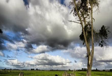 红军“拔刺”当英超圣诞冠军 主帅斯洛特吁球员不可松懈.