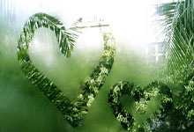 大连英博新赛季主场首战下周一开票,票价60-300元分为6档.