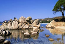 吴艳妮60米栏破全国纪录 遗憾无缘决赛.